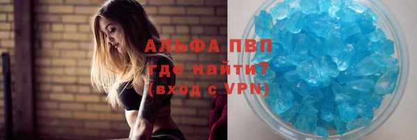 спайс Алзамай