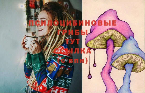 спайс Алзамай