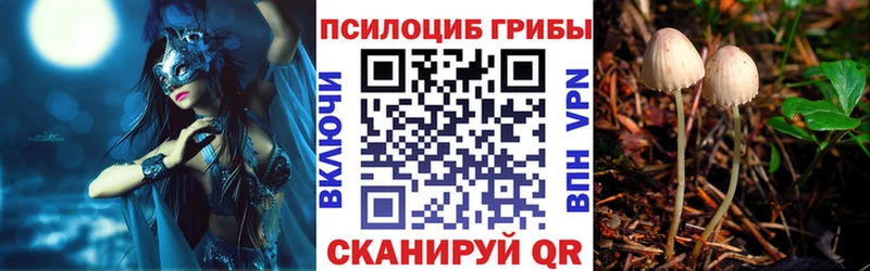 Псилоцибиновые грибы MAGIC MUSHROOMS Нижняя Тура